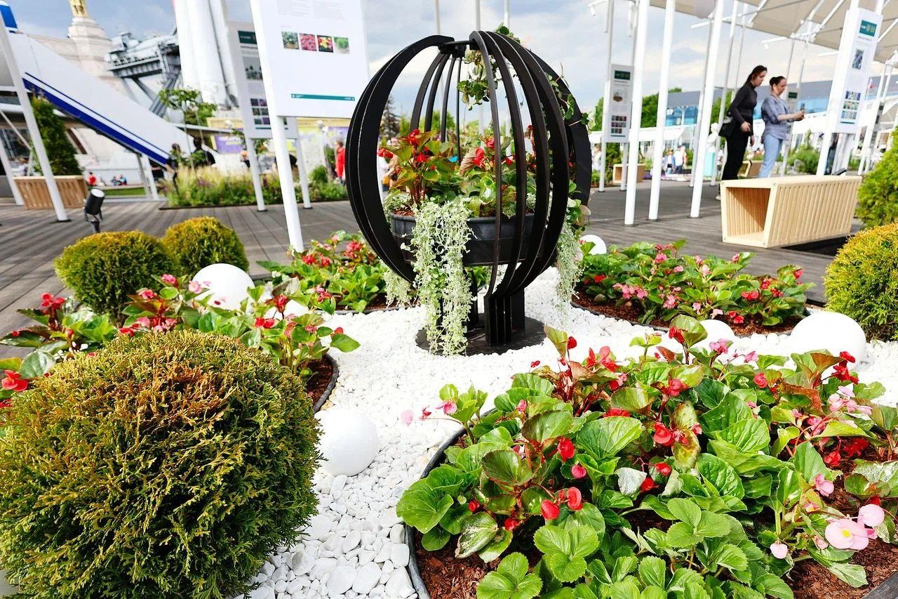 Фото Сибирские ирисы и цветущий сад украсили фестиваль «Будущее в цветах» на ВДНХ 2