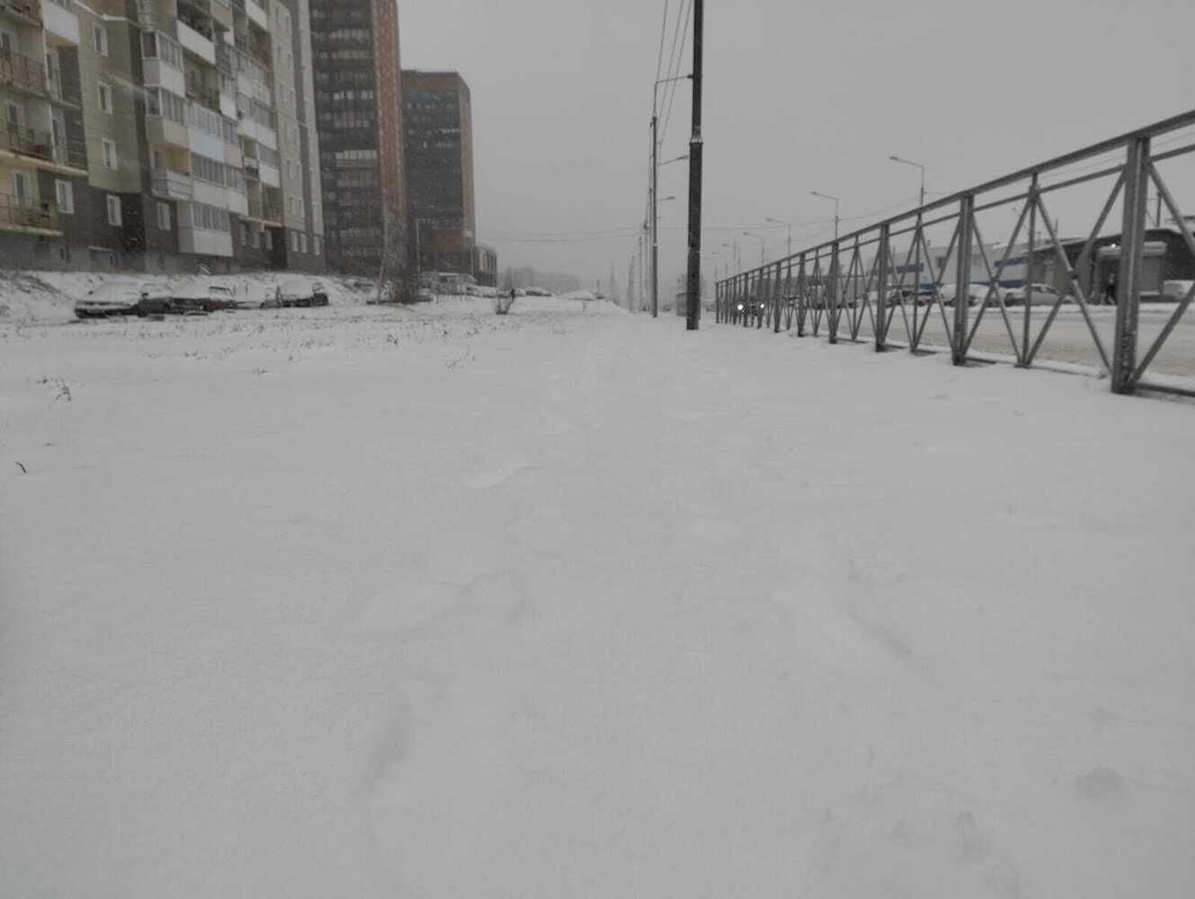 Фото Новосибирцы в 30-градусную жару ностальгируют по зиме 2 - Сиб.ФМ Фото Новосибирцы в 30-градусную жару ностальгируют по зиме 2