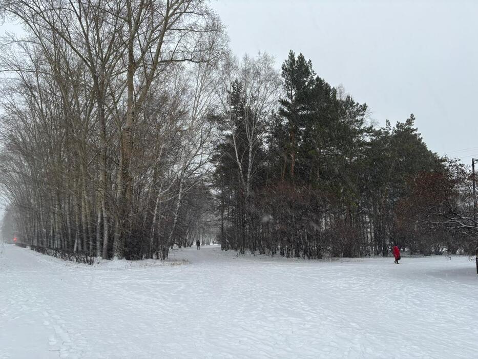 Фото Новосибирцы в 30-градусную жару ностальгируют по зиме 6 - Сиб.ФМ Фото Новосибирцы в 30-градусную жару ностальгируют по зиме 6