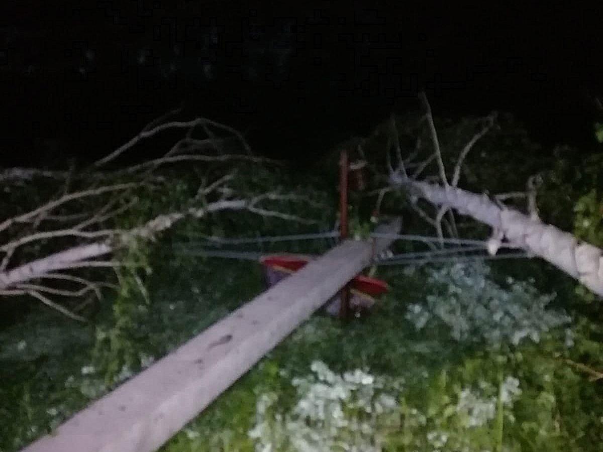 Фото Такого не было никогда. Мощный ураган обрушился на Новосибирскую область — 20 кадров разрушений 16