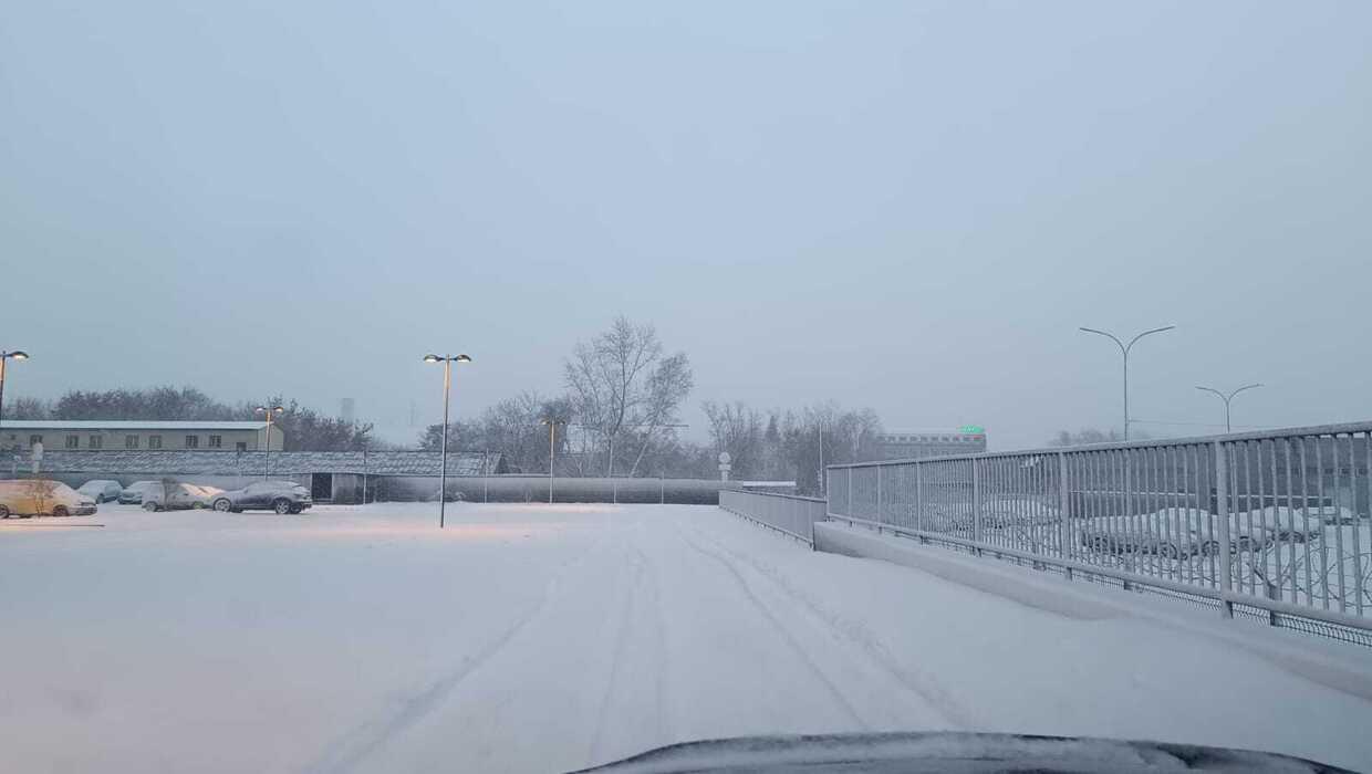 Фото Новосибирцы в 30-градусную жару ностальгируют по зиме 12 - Сиб.ФМ Фото Новосибирцы в 30-градусную жару ностальгируют по зиме 12