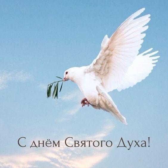 Фото День Святого Духа-2025: открытки для поздравлений с православным праздником 2