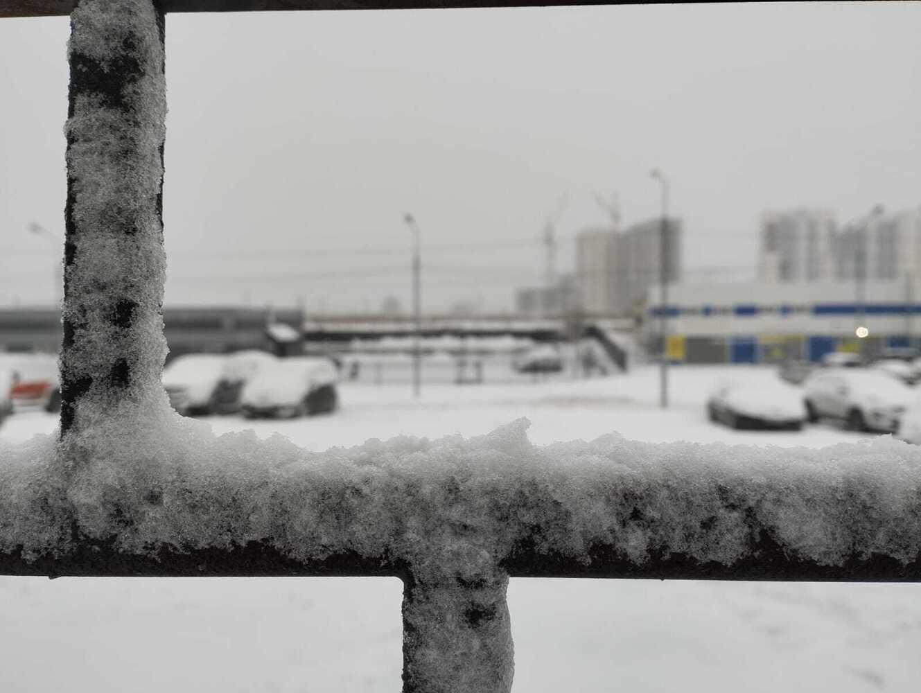 Фото Новосибирцы в 30-градусную жару ностальгируют по зиме 3 - Сиб.ФМ Фото Новосибирцы в 30-градусную жару ностальгируют по зиме 3