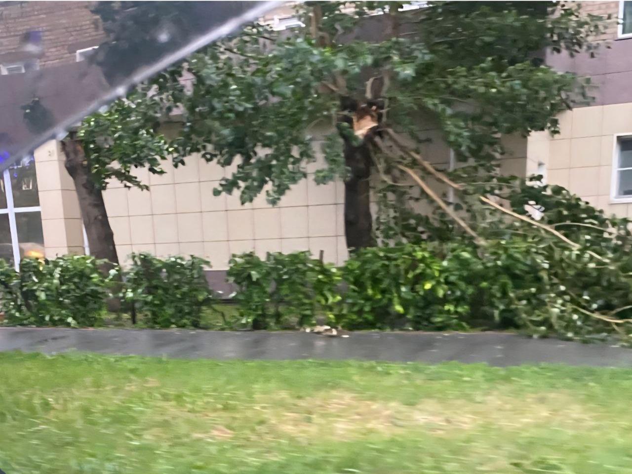 Фото Такого не было никогда. Мощный ураган обрушился на Новосибирскую область — 20 кадров разрушений 14