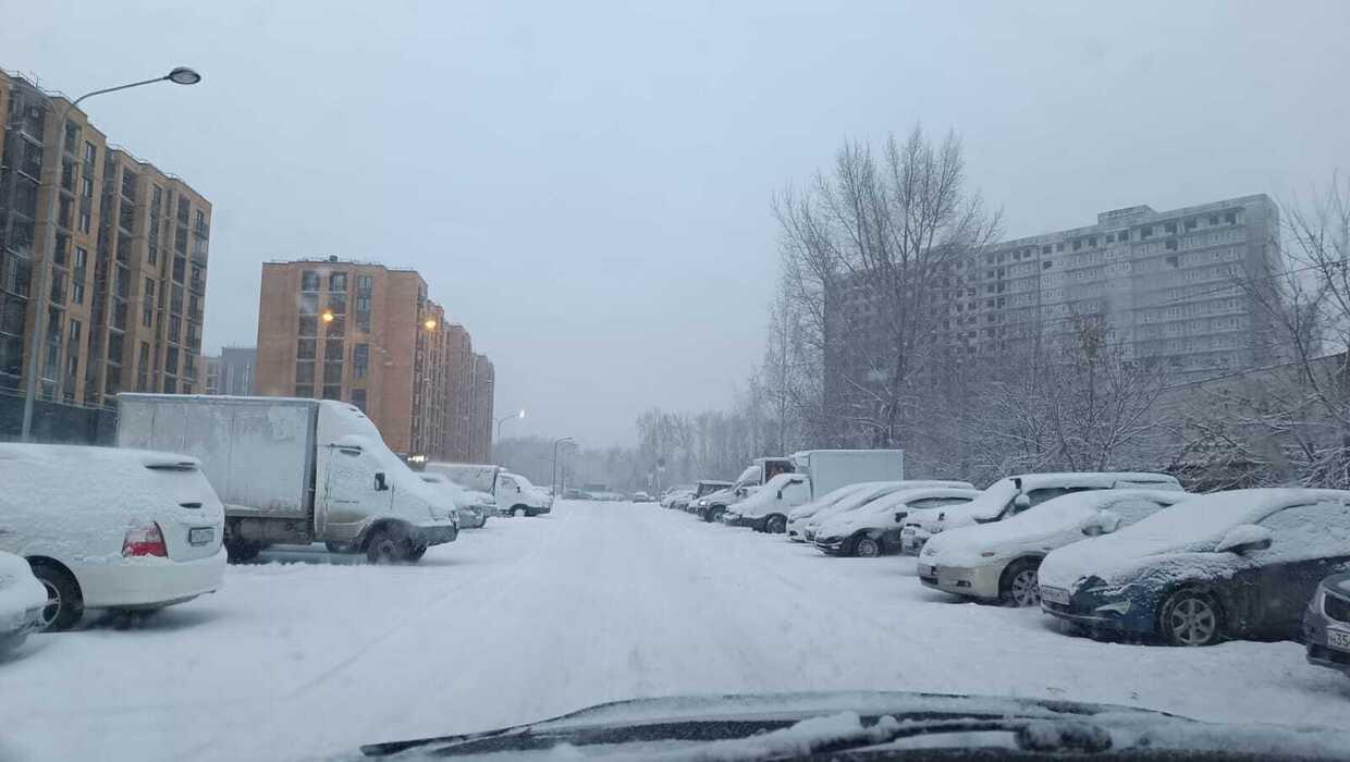 Фото Новосибирцы в 30-градусную жару ностальгируют по зиме 10 - Сиб.ФМ Фото Новосибирцы в 30-градусную жару ностальгируют по зиме 10