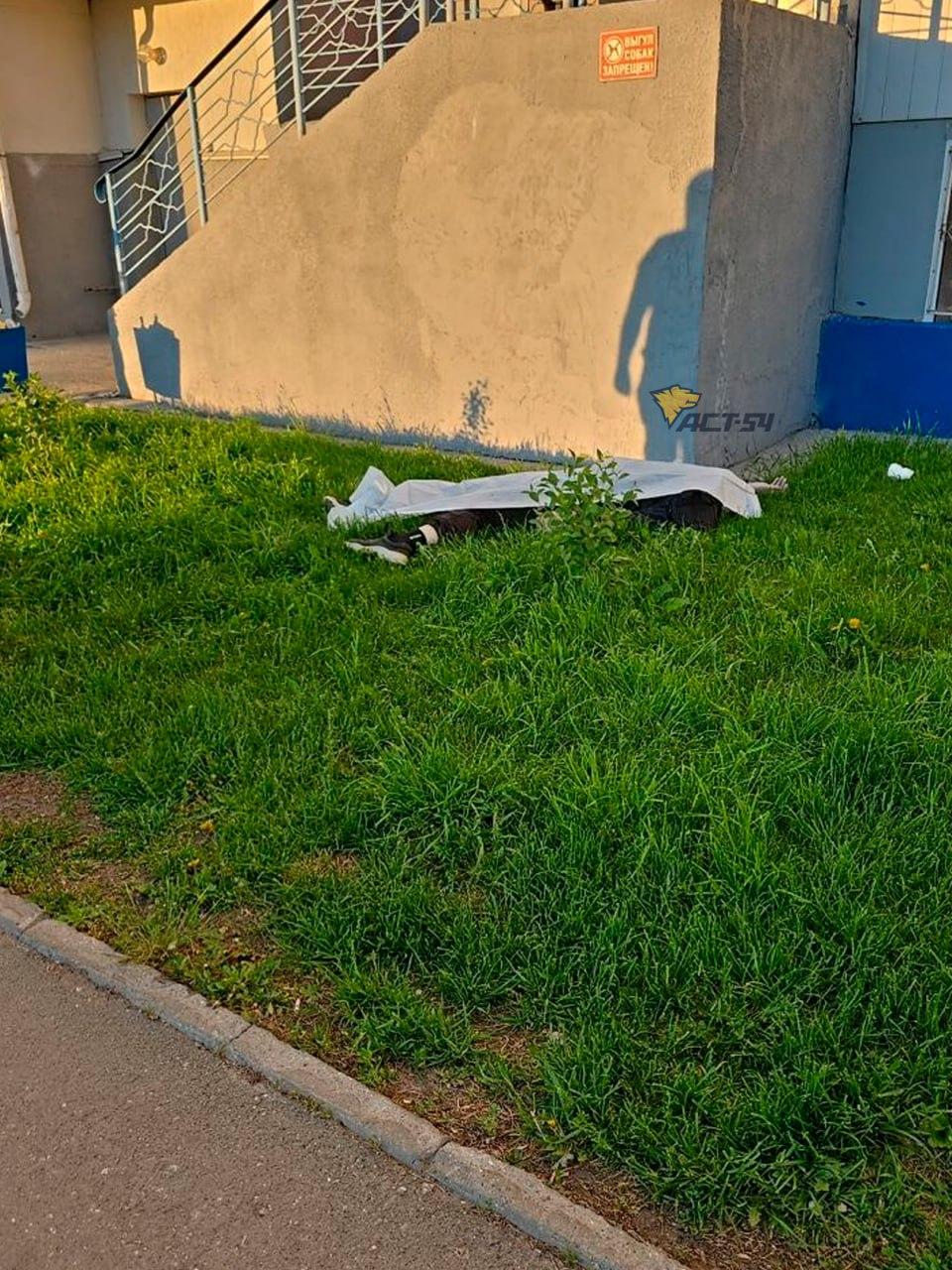 Фото Мужчина выпал из окна 17-эжтажного дома на Виктора Уса в Новосибирске 2 - Сиб.ФМ Фото Мужчина выпал из окна 17-эжтажного дома на Виктора Уса в Новосибирске 2