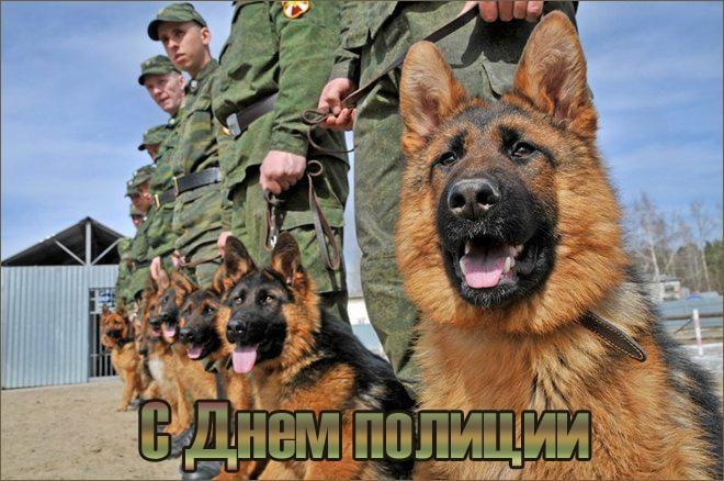 Фото 307 лет российской полиции: история и праздничные открытки 5 - Сиб.ФМ Фото 307 лет российской полиции: история и праздничные открытки 5