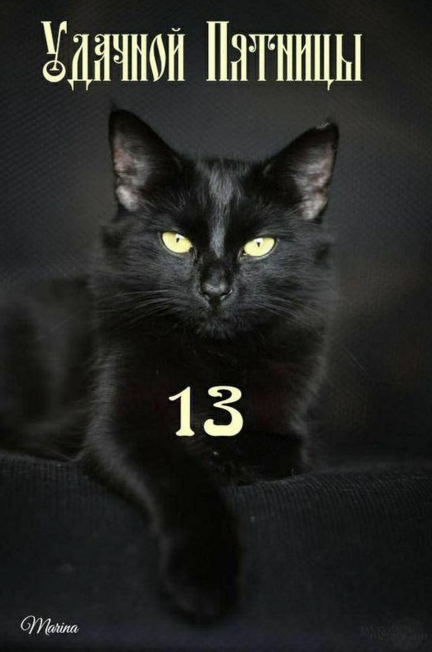 Фото Пятница 13-е июня: картинки и открытки к «жуткому» дню 3 - Сиб.ФМ Фото Пятница 13-е июня: картинки и открытки к «жуткому» дню 3