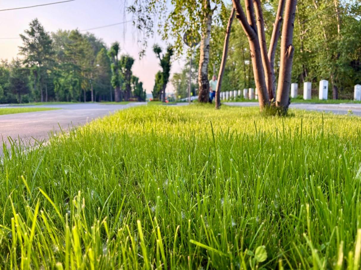 Фото Мэр Новосибирска оценил результаты пилотного проекта по благоустройству в Первомайском районе 2 - Сиб.ФМ Фото Мэр Новосибирска оценил результаты пилотного проекта по благоустройству в Первомайском районе 2