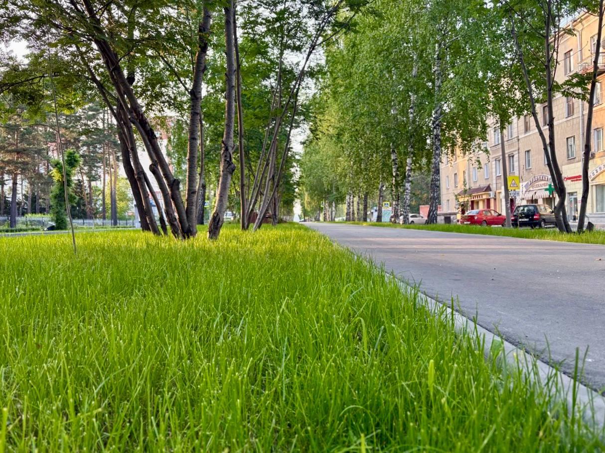 Фото Мэр Новосибирска оценил результаты пилотного проекта по благоустройству в Первомайском районе 3 - Сиб.ФМ Фото Мэр Новосибирска оценил результаты пилотного проекта по благоустройству в Первомайском районе 3