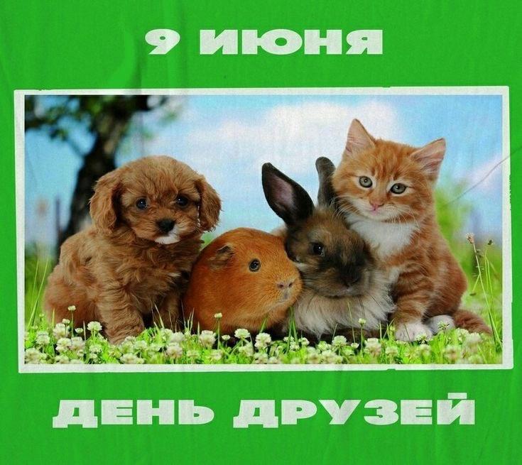 Фото День друзей-2025: открытки с поздравлением для самых близких 2 - Сиб.ФМ Фото День друзей-2025: открытки с поздравлением для самых близких 2