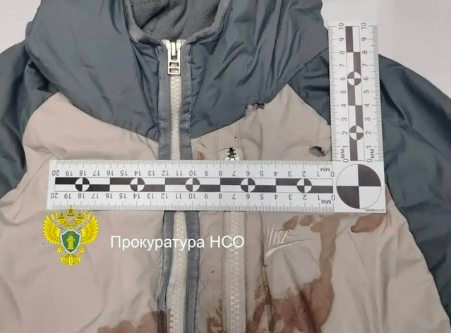 Фото «Четыре выстрела в упор»: в Бердске будут судить мужчину, который расстрелял знакомого из травматического пистолета прямо на дороге 2