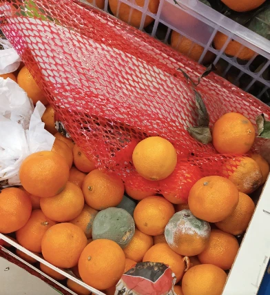 Фото Новосибирцы массово жалуются на плесень в продуктах из магазинов «Мария-Ра» 2 - Сиб.ФМ Фото Новосибирцы массово жалуются на плесень в продуктах из магазинов «Мария-Ра» 2
