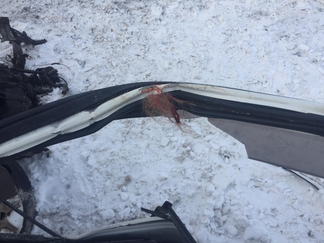 Фото Вырвало двигатель, бампер и стёкла: стали известны подробности смертельной автокатастрофы под Новосибирском 3