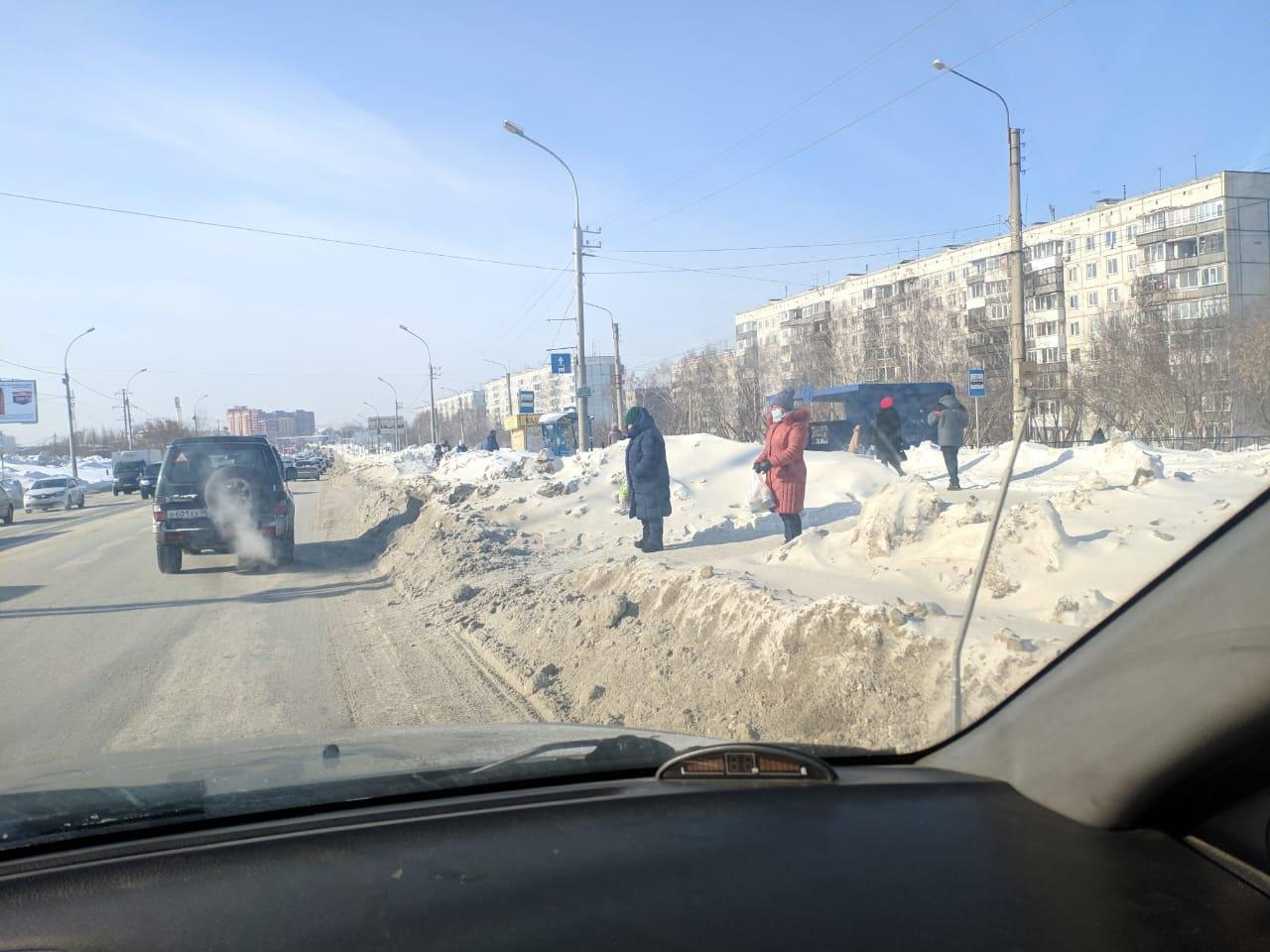 Фото «Лопату блогеру в руки»: новосибирцы предложили гнать Варламова метлой за критику сугробов в городе 5