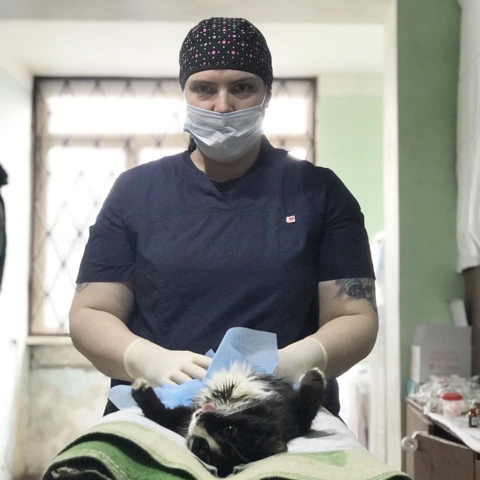 Фото «‎Ад, на который психически здоровый человек не сможет смотреть»: зачем новосибирцы спасают бродячих собак в Абхазии и Индии 14