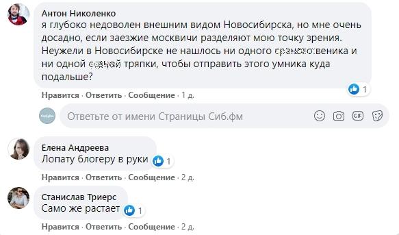 Фото «Лопату блогеру в руки»: новосибирцы предложили гнать Варламова метлой за критику сугробов в городе 2