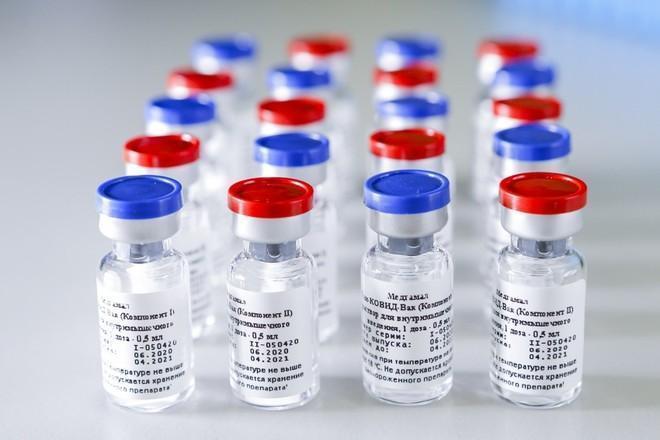 Фото Какую вакцину выбрать: «‎Спутник V», «‎КовиВак» и «‎ЭпиВакКорона» – что известно о трёх российских препаратах от коронавируса 2