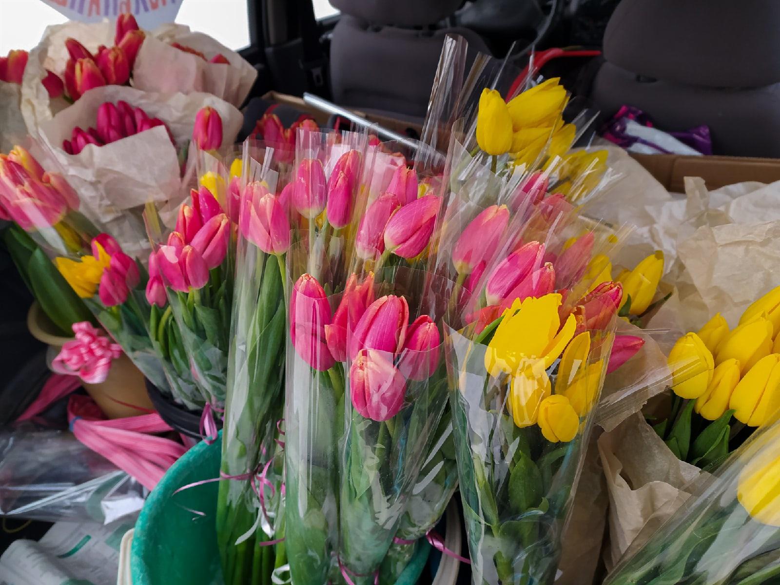 Тюльпаны новосибирск розница. Цветы к 8 марту.