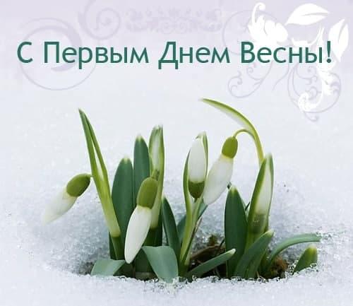 Новые открытки и картинки с первым днем Весны на 1 марта 2024