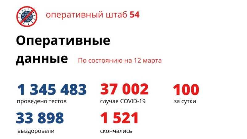 Фото Коронавирус в Новосибирске: количество умерших от COVID-19 к 13 марта 2021 года 2