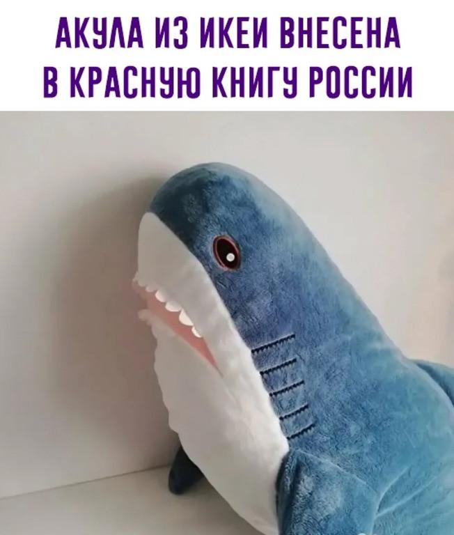 Фото Краснокнижная акула из IKEA и сарафаны от неZarа: россияне отреагировали на санкции новыми мемами 3