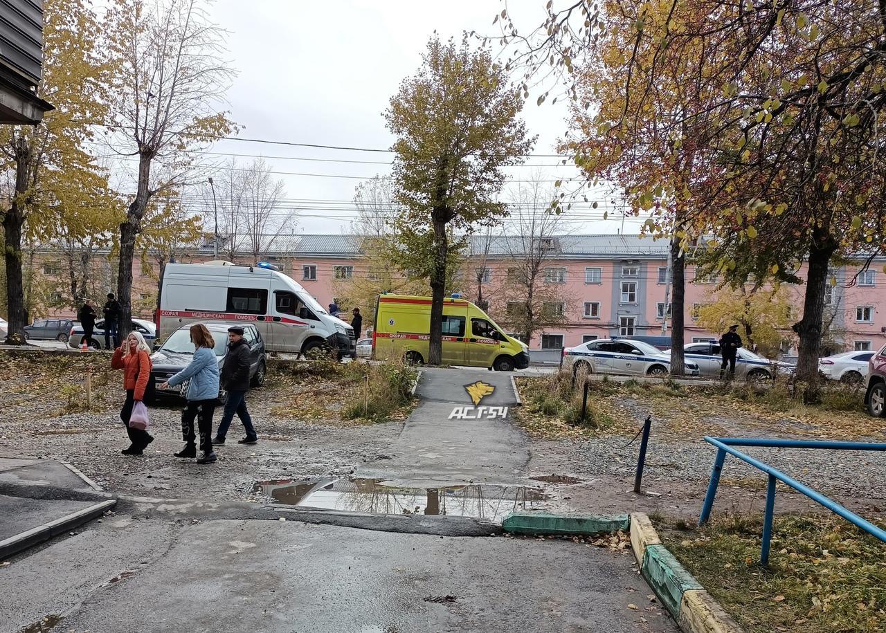 Фото «Я не специально»: в Новосибирске водитель скорой извинился перед родителями сбитой насмерть девочки 3