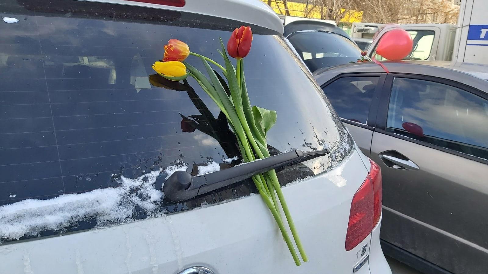 Фото Новосибирцы 8 марта штурмуют автомобили с тюльпанами 6