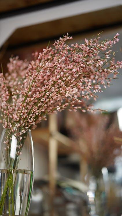 Фото Как сохранить живые цветы в вазе — 3 совета для свежих роз и тюльпанов 2