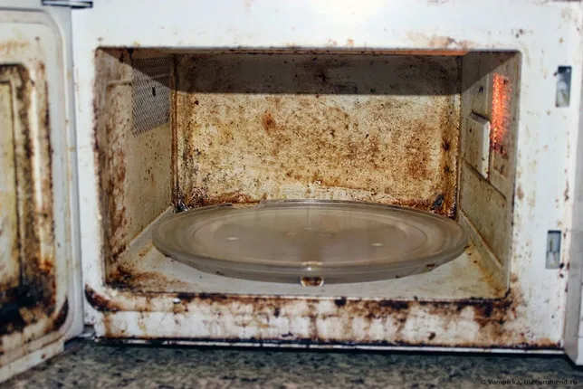 Фото Растворяет жир за 3 минуты: как легко отмыть духовку и микроволновку 2