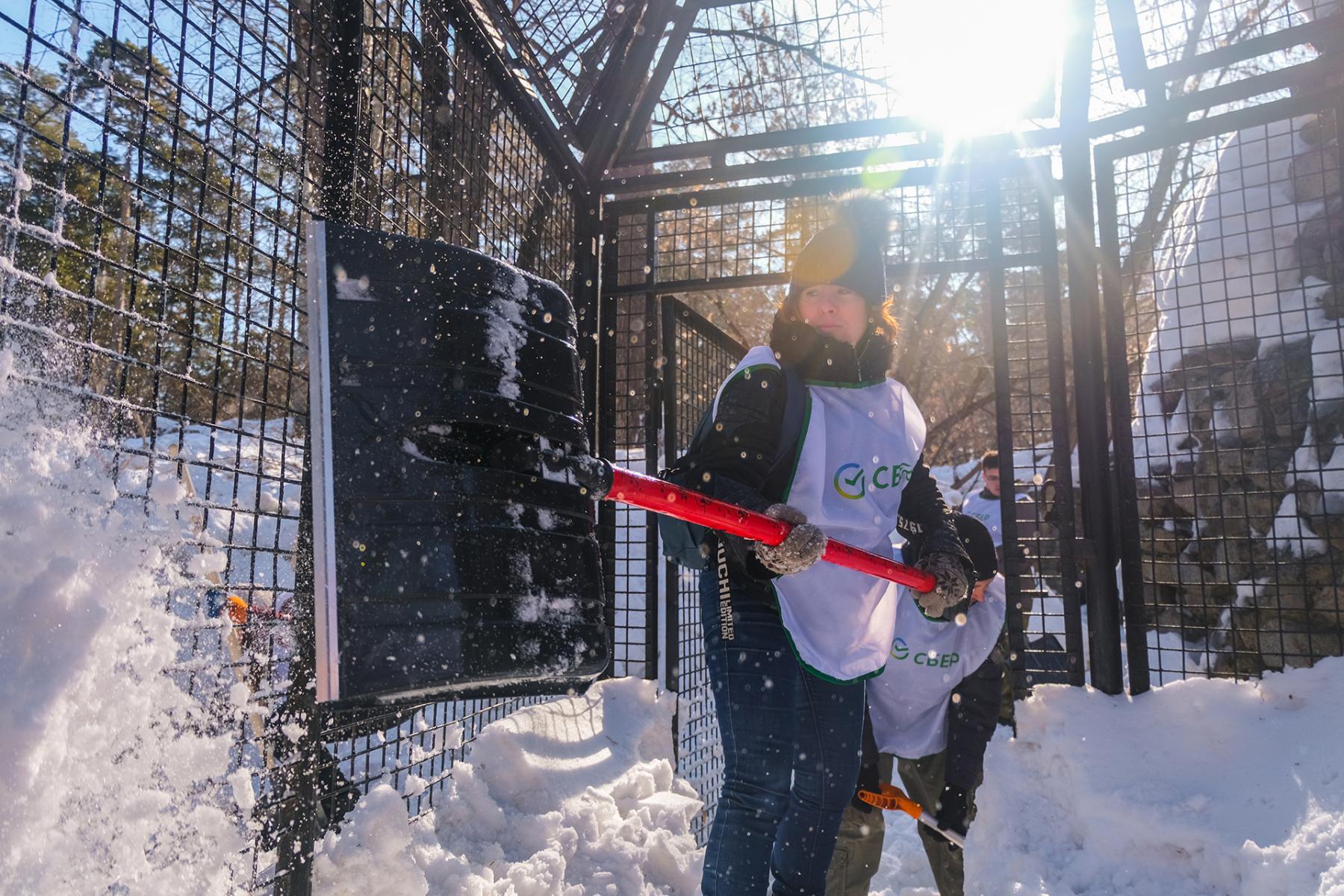Фото Волонтеры крупного банка приняли участие в акции по очистке зоопарка от снега 3 - Сиб.ФМ Фото Волонтеры крупного банка приняли участие в акции по очистке зоопарка от снега 3