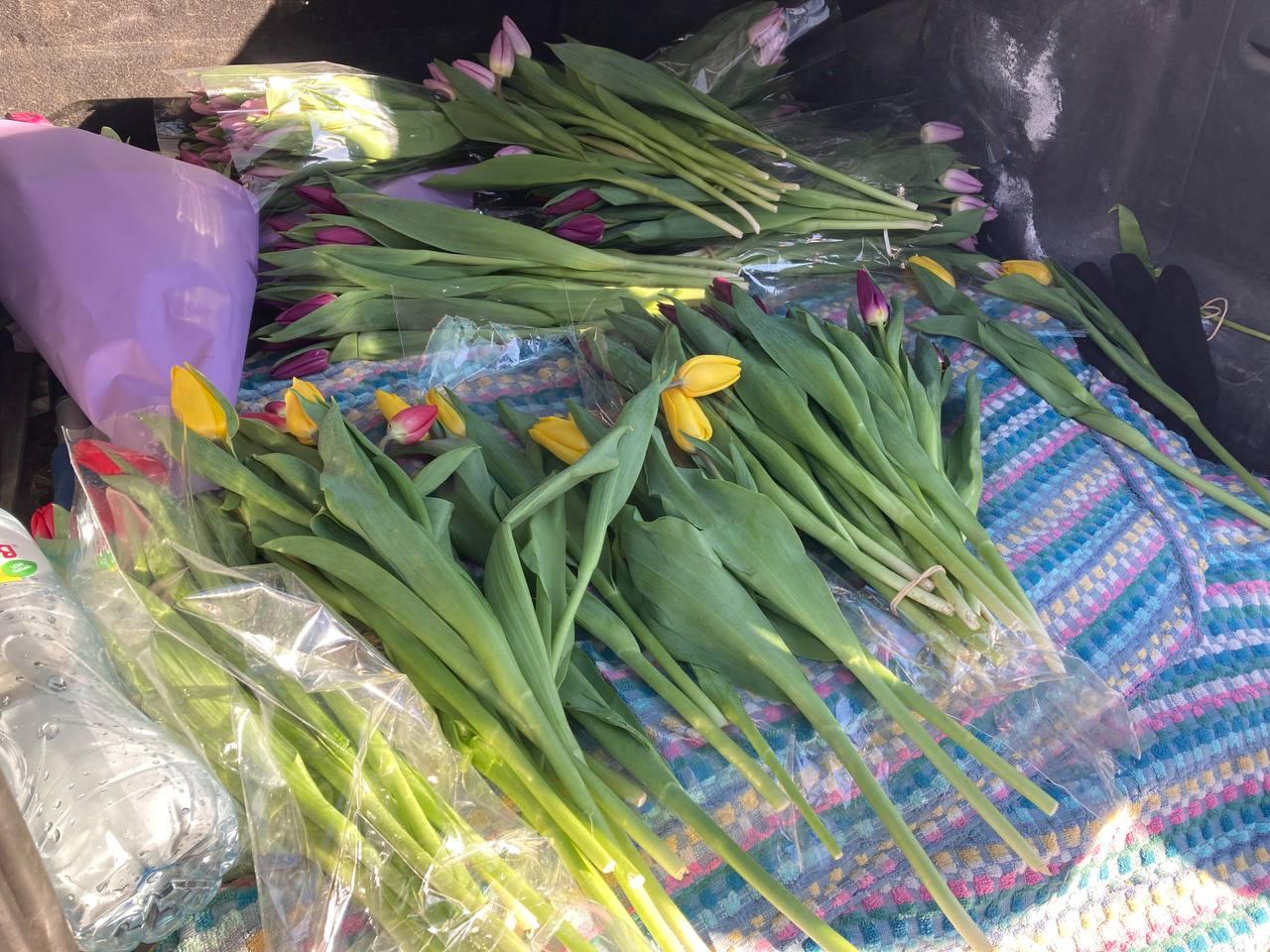 Фото В Новосибирске продавцы тюльпанов раскрыли реальные заработки на 8 Марта 7