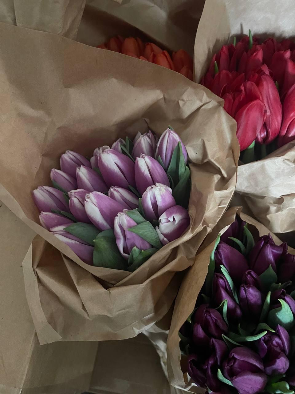Фото В Новосибирске продавцы тюльпанов раскрыли реальные заработки на 8 Марта 3