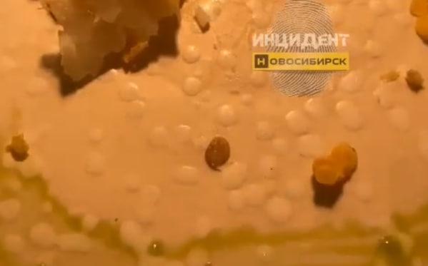 Фото В Новосибирске гостям ресторана подали треску с червями 2