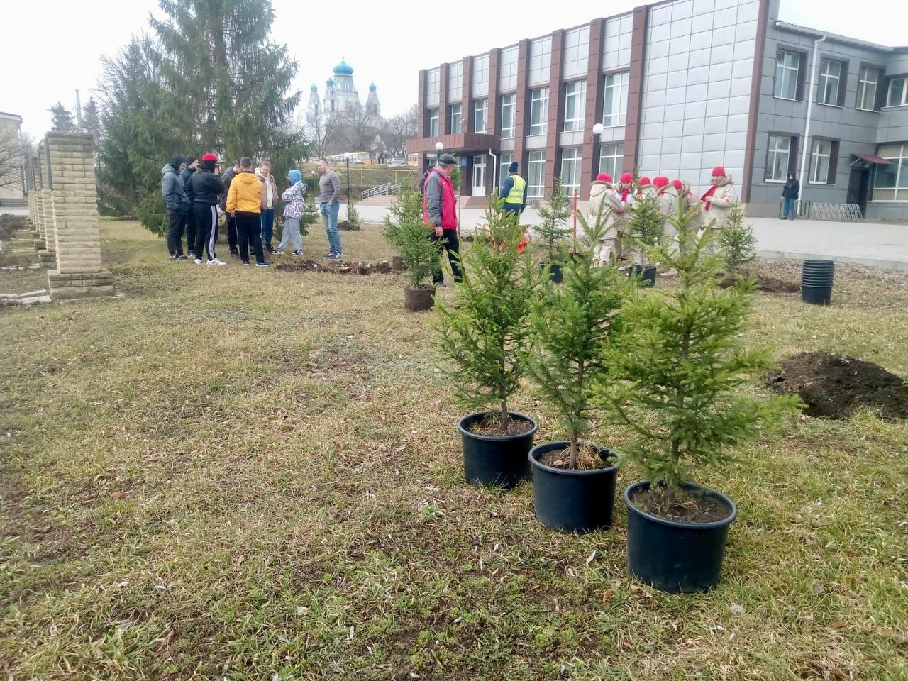 Фото В Луганске высадили деревья из Новосибирской области 2