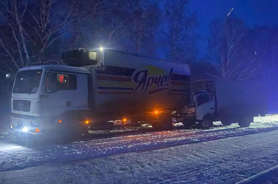 Фото Жуткие ДТП, проснувшиеся медведи, закрытие алкозавода: главное в Новосибирске 22 марта 2