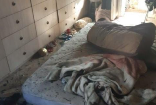 Фото Взрыв в банке, спасение детей, гибель животных: главные новости Новосибирска 19 марта 2