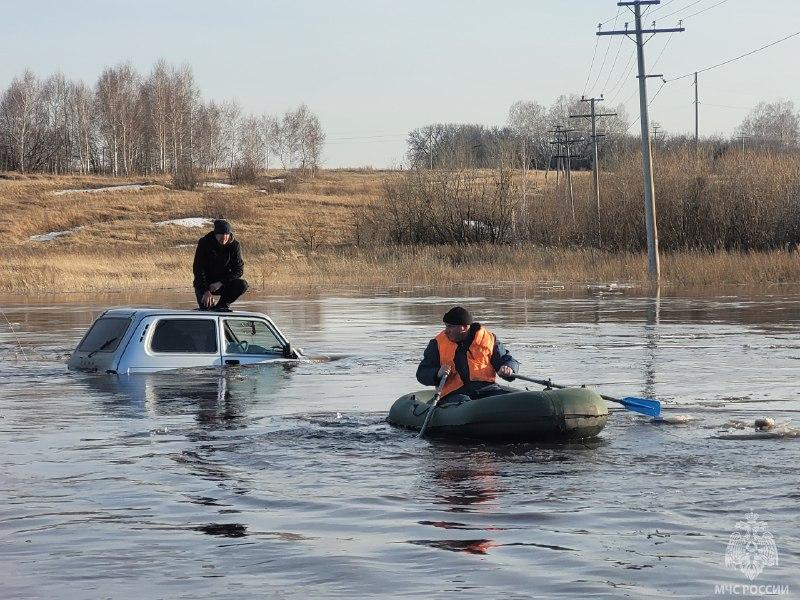 Фото На Алтае начался сильный паводок. Опубликованы кадры, как люди, коты и коровы спасаются от затоплений 8