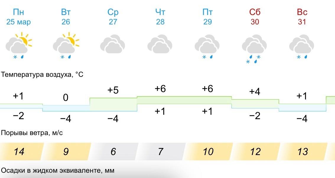 Фото В Новосибирске опубликован прогноз погоды на конец марта 2