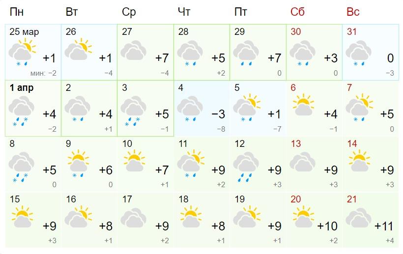 Фото Ледяной дождь и солнце: в Новосибирске опубликован прогноз погоды на апрель 2024 года 2