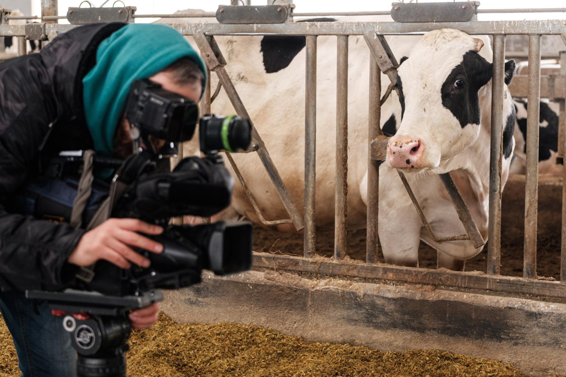 Фото Веселая Масленица и другие праздники: почему новосибирцы в выходные массово едут на молочную ферму 6 - Сиб.ФМ Фото Веселая Масленица и другие праздники: почему новосибирцы в выходные массово едут на молочную ферму 6