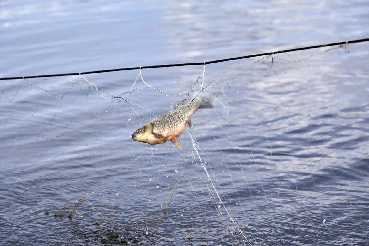 Фото В Новосибирске пройдет крупнейшая выставка товаров для охоты, рыбалки и туризма 24 апреля 2 - Сиб.ФМ Фото В Новосибирске пройдет крупнейшая выставка товаров для охоты, рыбалки и туризма 24 апреля 2