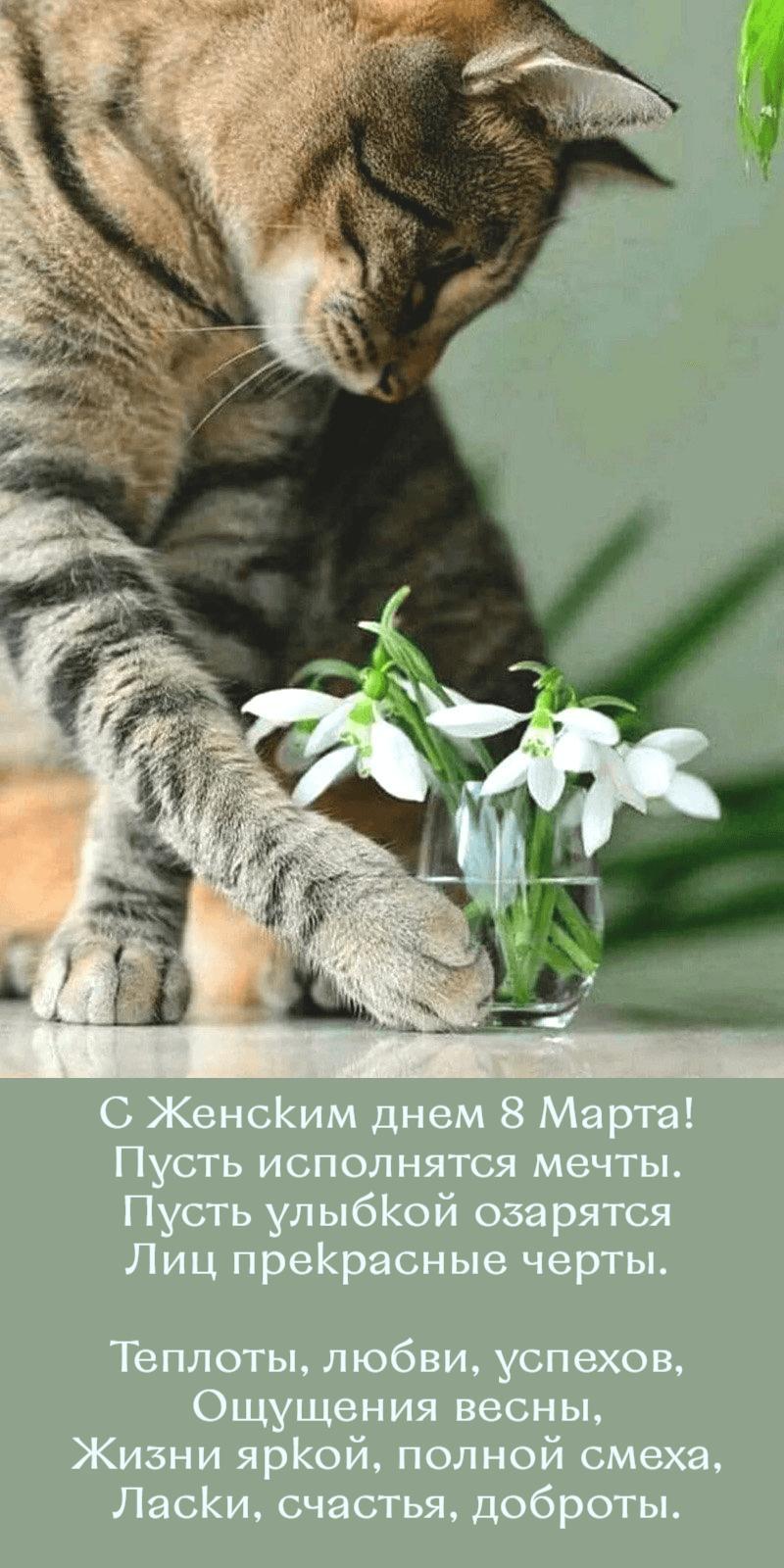 Фото С 8 Марта! Красивые открытки и картинки к Международному женскому дню 10