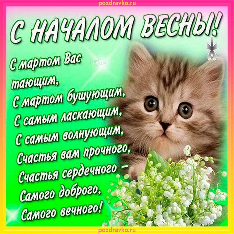 Фото День кошек-2025: милые и красивые картинки к празднику 5