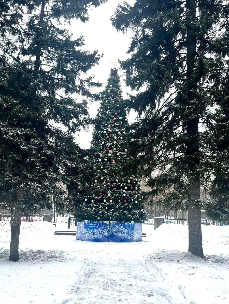 Фото Новосибирцы высмеяли наряженные новогодние ёлки на улицах города в первый день весны 2 - Сиб.ФМ Фото Новосибирцы высмеяли наряженные новогодние ёлки на улицах города в первый день весны 2