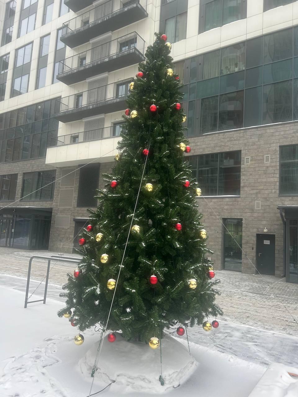 Фото Новосибирцы высмеяли наряженные новогодние ёлки на улицах города в первый день весны 3 - Сиб.ФМ Фото Новосибирцы высмеяли наряженные новогодние ёлки на улицах города в первый день весны 3