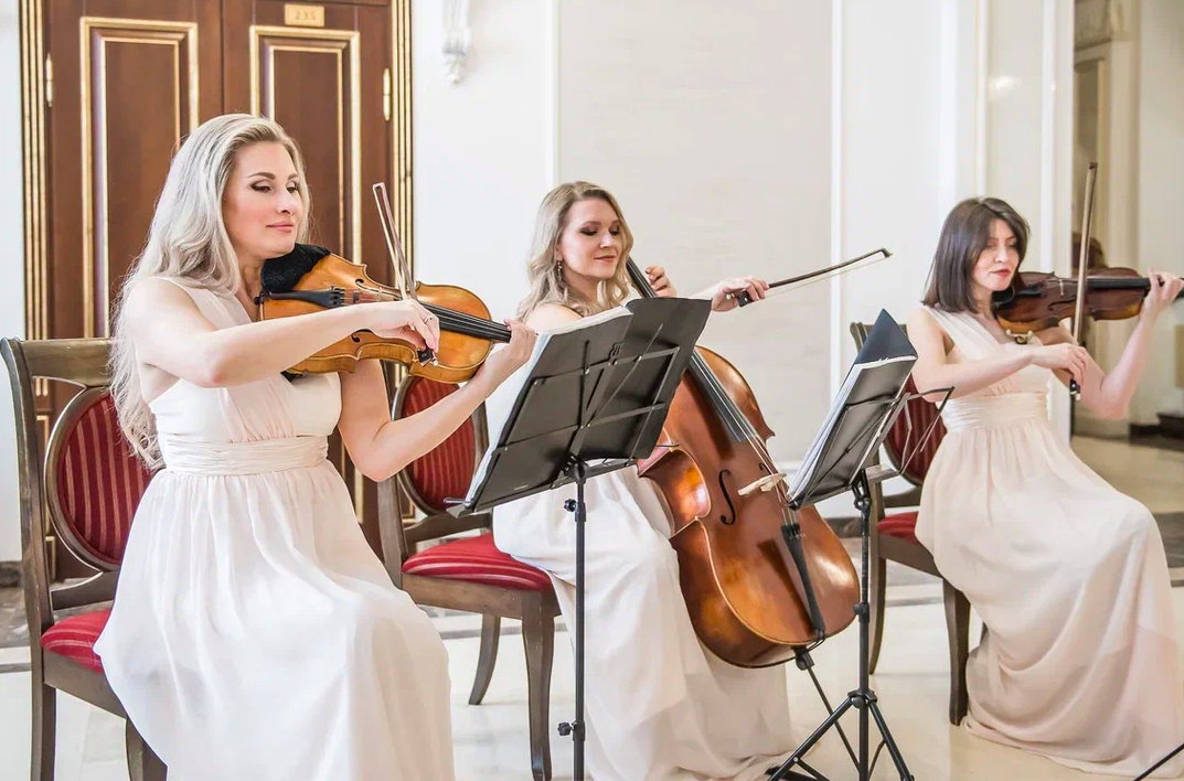 Фото В Новосибирске названы имена победителей бизнес-премии «Звёздная лига»: яркие кадры церемонии награждения 31 - Сиб.ФМ Фото В Новосибирске названы имена победителей бизнес-премии «Звёздная лига»: яркие кадры церемонии награждения 31