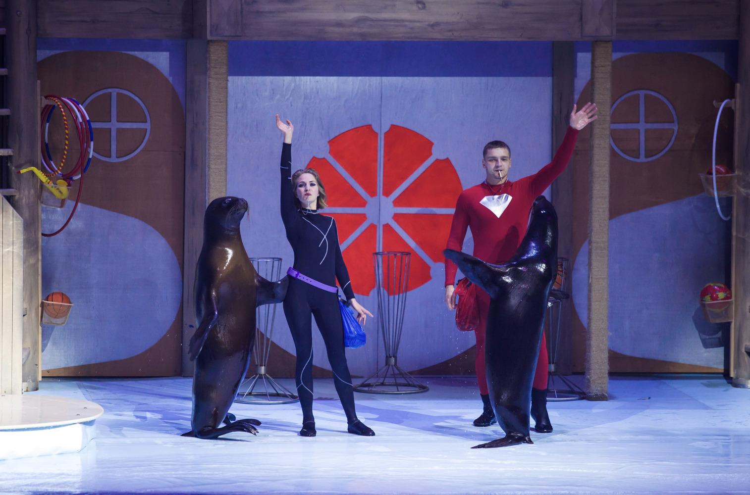 Фото «Грация и плеск»: в Новосибирске показали милых морских обитателей в честь Дня белька 6 - Сиб.ФМ Фото «Грация и плеск»: в Новосибирске показали милых морских обитателей в честь Дня белька 6