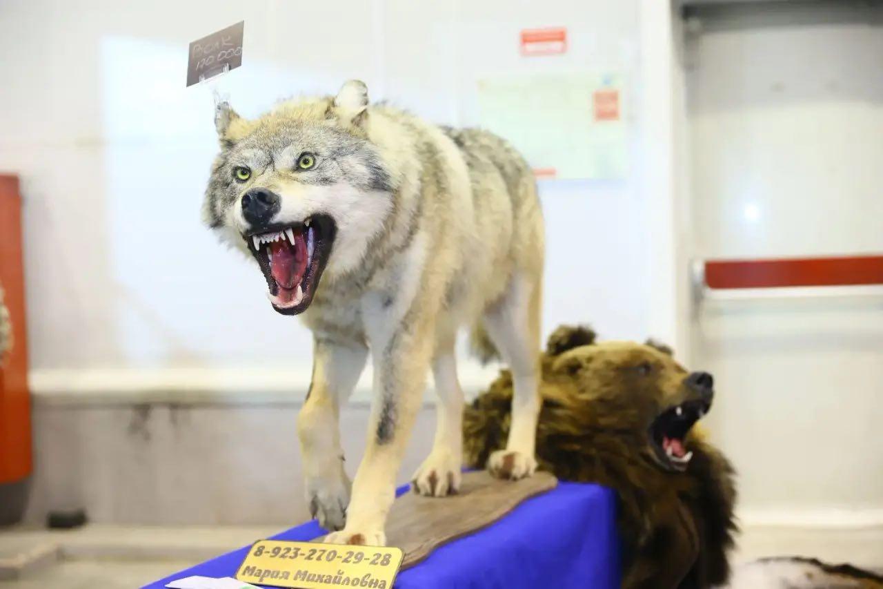 Фото В Новосибирске состоится главная выставка для охотников, рыбаков и туристов 3 - Сиб.ФМ Фото В Новосибирске состоится главная выставка для охотников, рыбаков и туристов 3