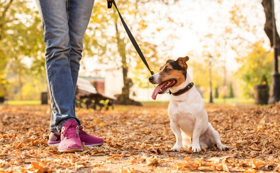 Фото Индексация пенсий, блокировка Telegram и строгие правила рассрочки: опубликованы главные нововведения с 1 апреля 5
